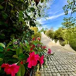 Lamapulia 4*