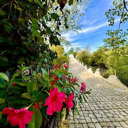 Lamapulia *